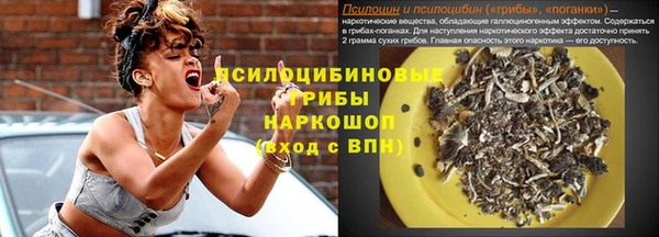 меф Медвежьегорск