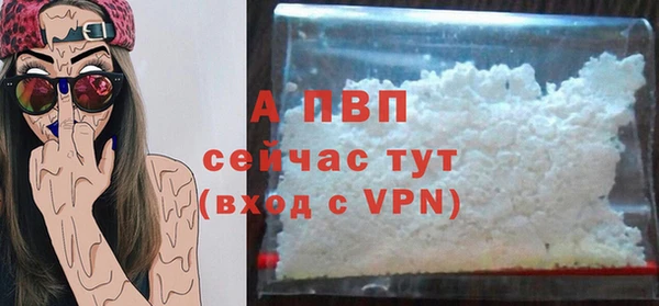 прущие грибы Михайловск