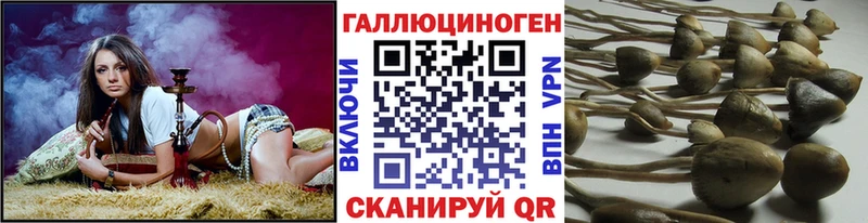 Купить закладки  Приволжский  Псилоцибиновые грибы ЛСД 