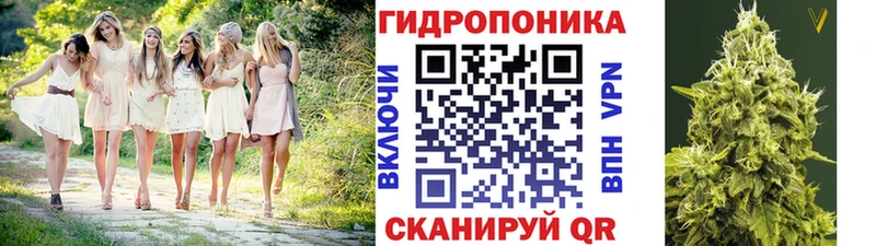 Купить закладки  Приволжский  Конопля Amnesia 